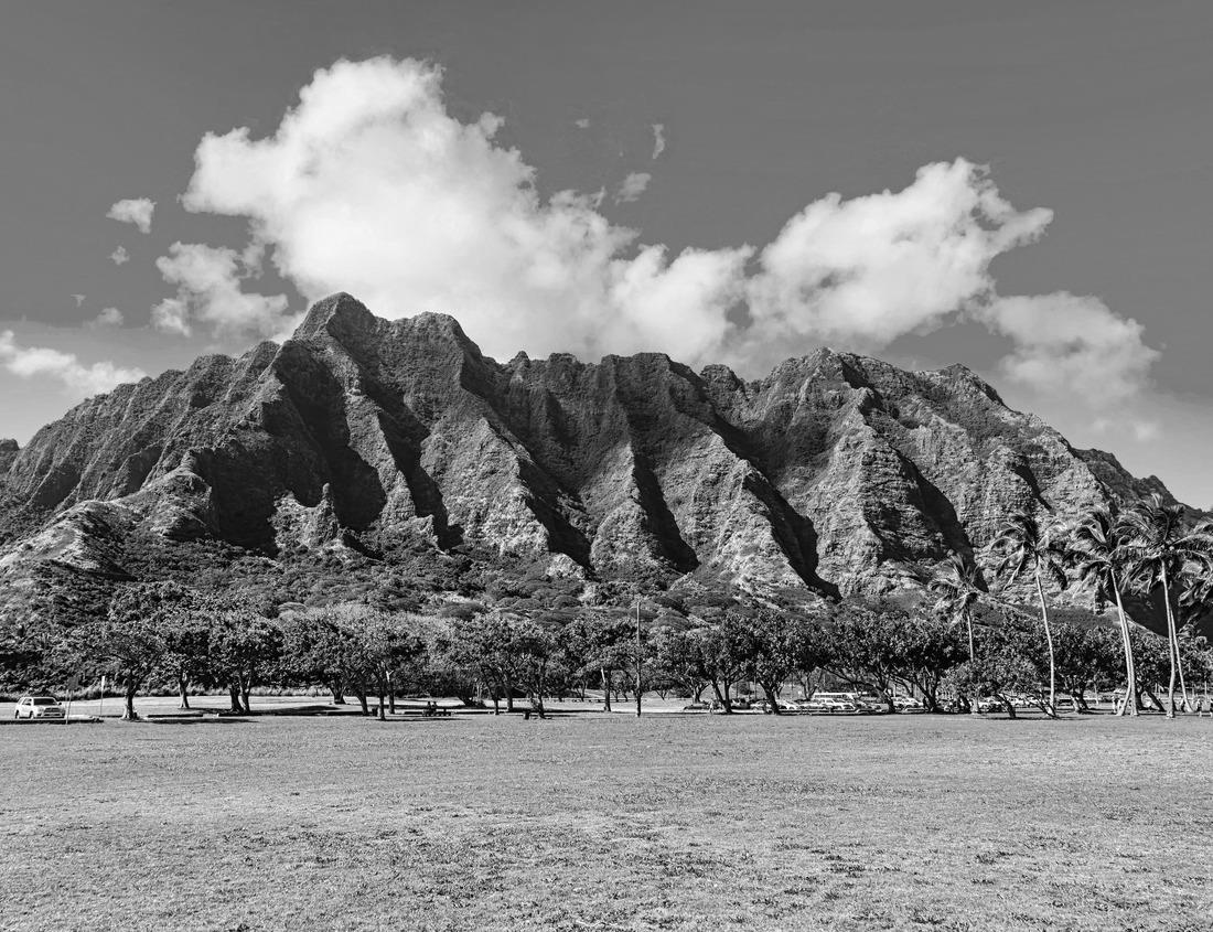 Noah Jigsaw Puzzle New River Gorge, West Virginia, USA autumn morning landscape at the Endless Wall in black white 1000 pieces