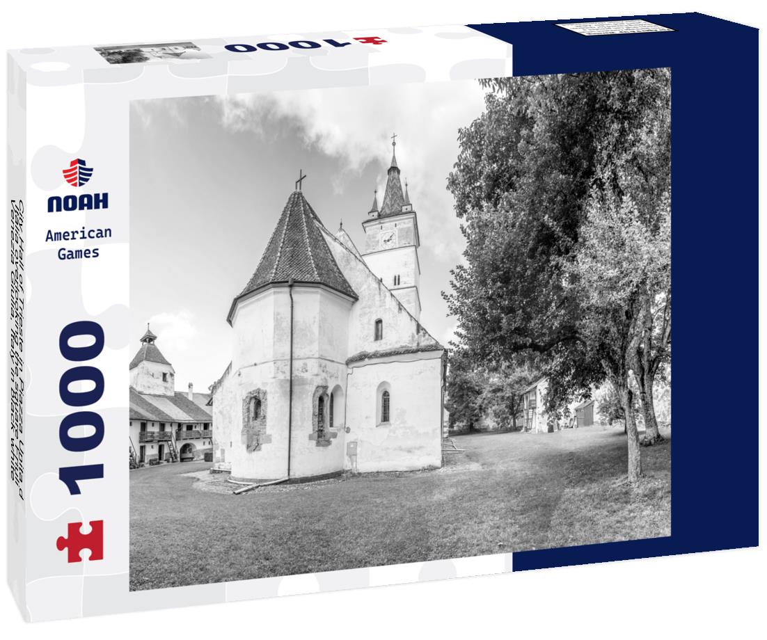 Noah Jigsaw Puzzle City Hall of Trieste in Piazza Unita d Italia overlooking the square Friuli-Venezia Giulia, Italy in black white 1000 pieces