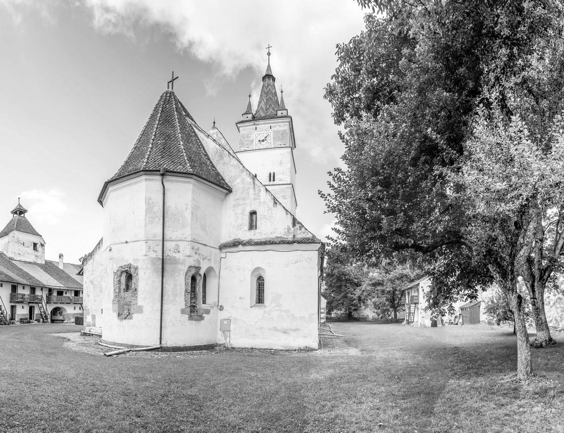 Noah Jigsaw Puzzle City Hall of Trieste in Piazza Unita d Italia overlooking the square Friuli-Venezia Giulia, Italy in black white 1000 pieces