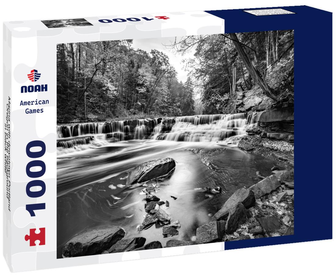 Noah Jigsaw Puzzle Marina with downtown Portland, Oregon in the background in black white 1000 pieces