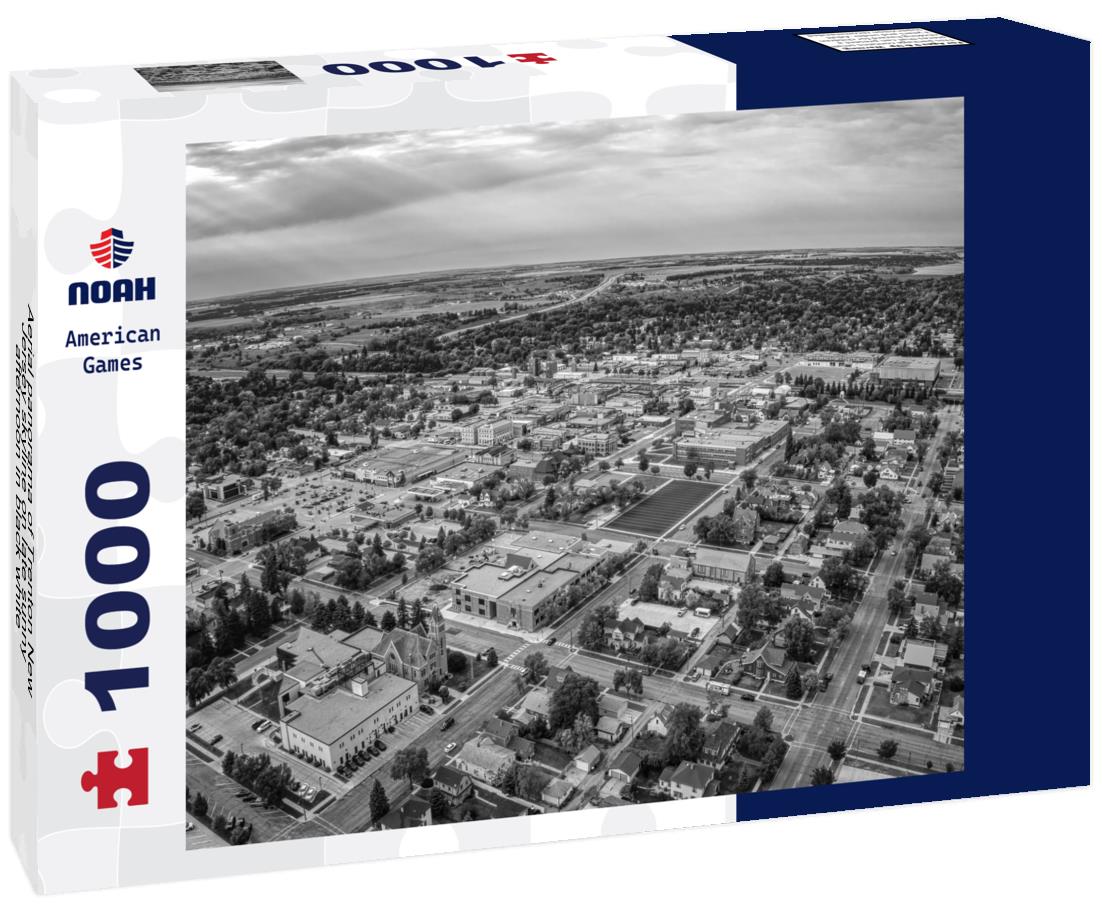Noah Jigsaw Puzzle Aerial panorama of Trenton New Jersey skyline on late sunny afternoon in black white 1000 pieces