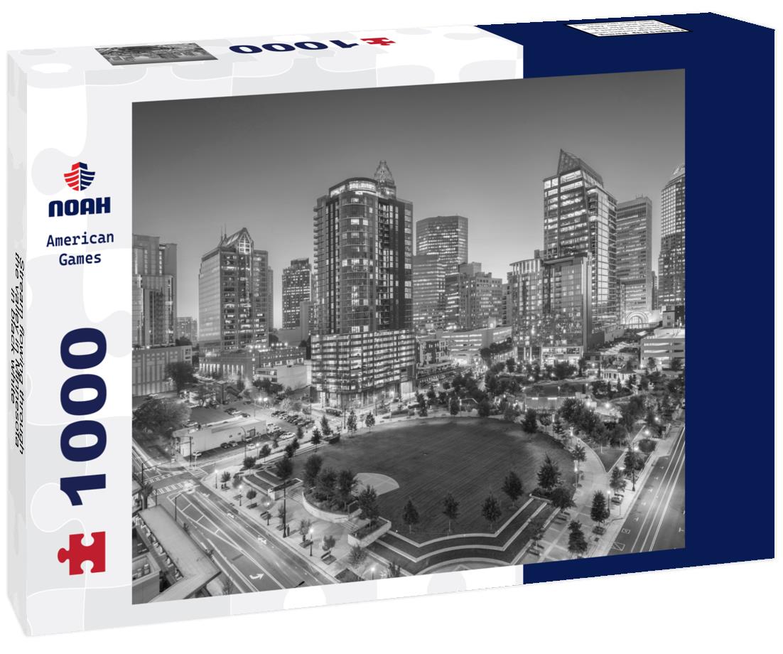 Noah Jigsaw Puzzle Stream flowing through the valley in Minnesota in black white 1000 pieces