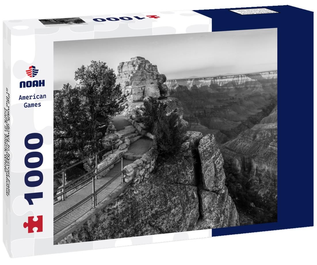 Noah Jigsaw Puzzle the walk down to Kynvet Falls in the Cradle Mountain national park in black white 1000 pieces