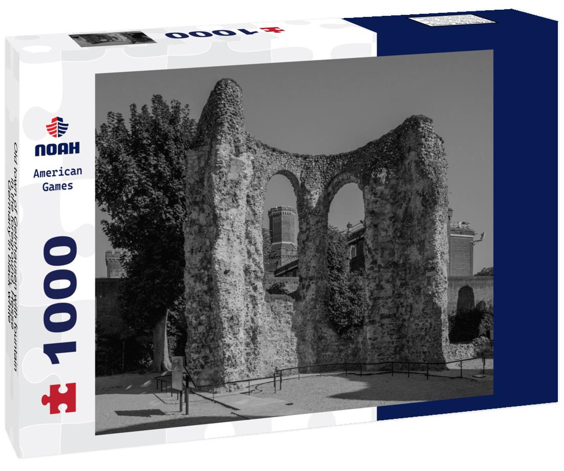 Noah Jigsaw Puzzle Old town of Gelnhausen with fountain in the foreground, Hesse, Germany in black white 1000 pieces