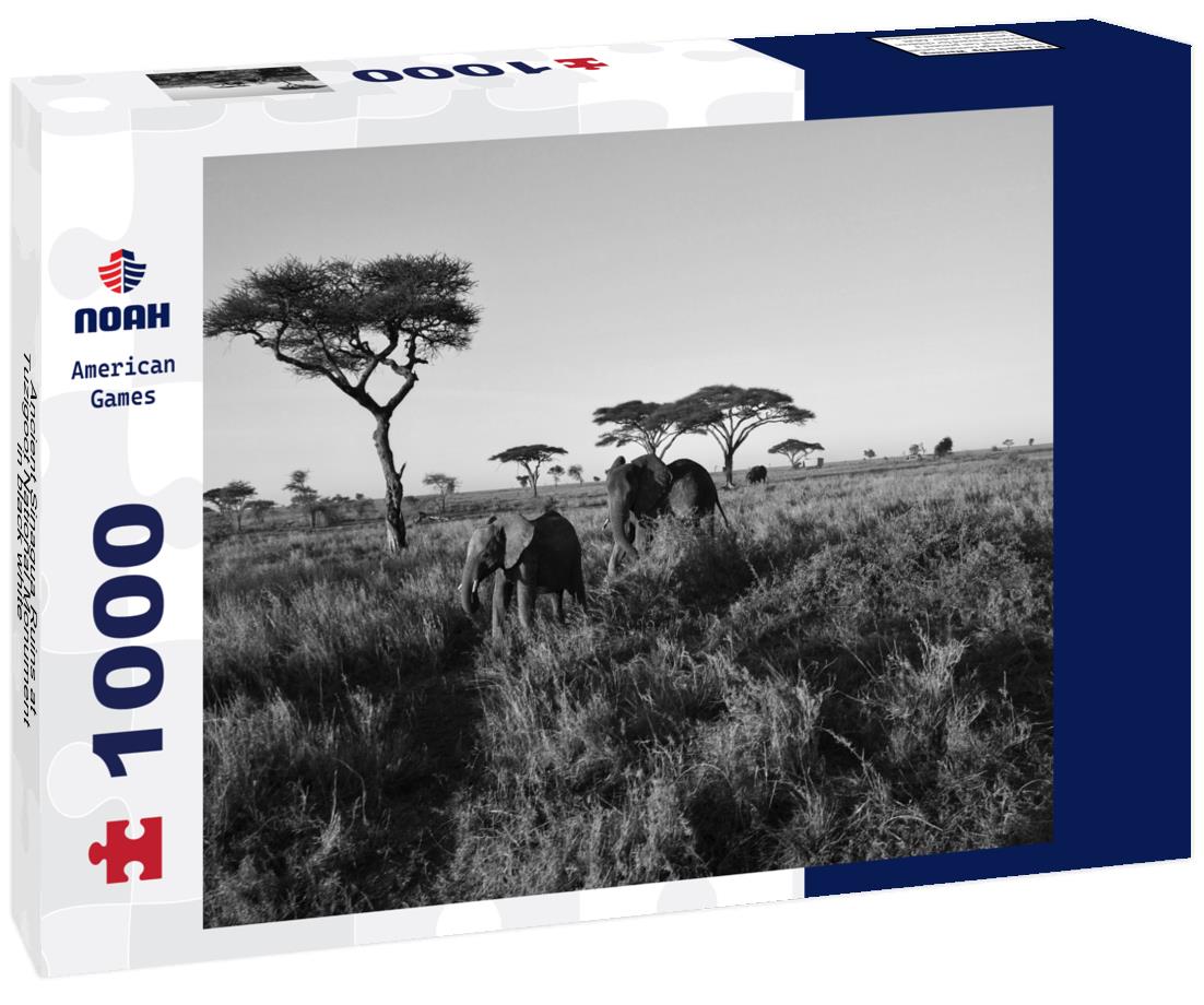 Noah Jigsaw Puzzle Ancient Sinagua Ruins at Tuzigoot National Monument in black white 1000 pieces