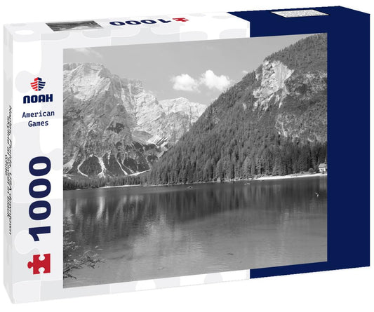 Noah Jigsaw Puzzle Naples, Florida, USA downtown skyline at sunset in black white 1000 pieces