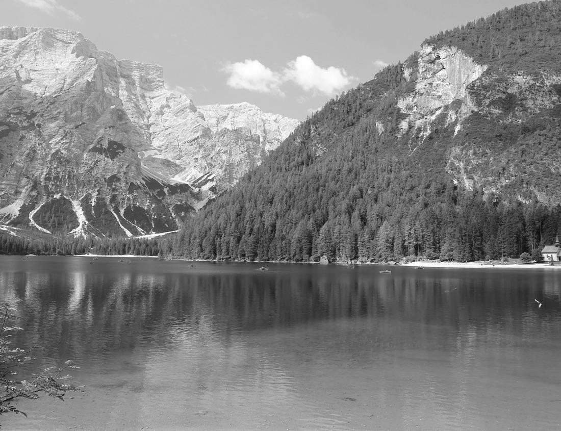 Noah Jigsaw Puzzle Naples, Florida, USA downtown skyline at sunset in black white 1000 pieces