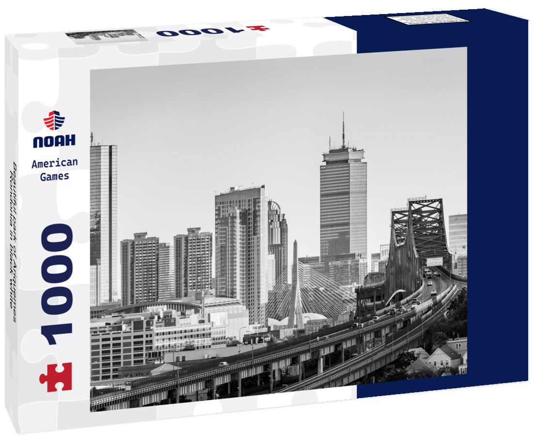 Noah Jigsaw Puzzle Beautiful park of Ariquemes Rondonia in black white 1000 pieces