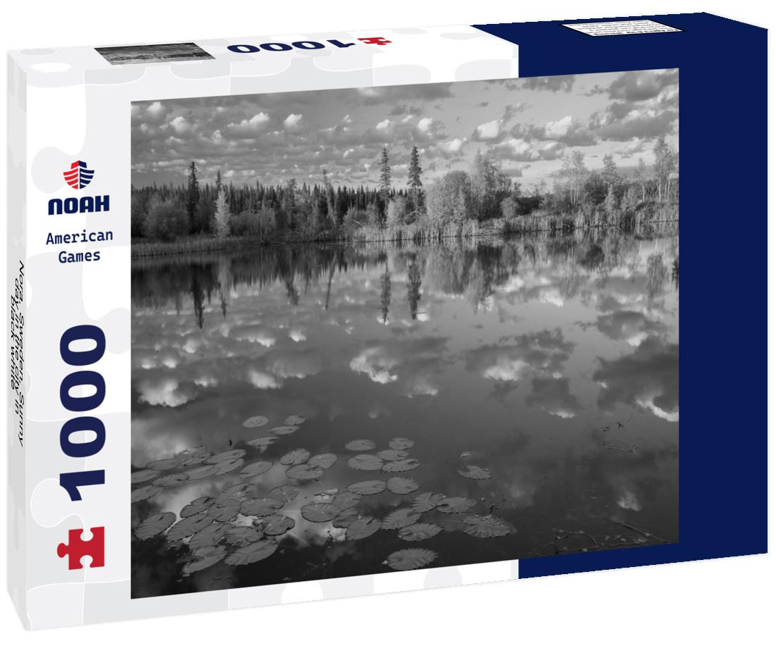 Noah Jigsaw Puzzle Nora, Sweden. Sunny day in the city in black white 1000 pieces