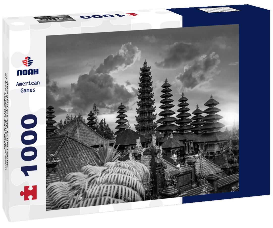 Noah Jigsaw Puzzle Beautiful sunset in the center of Los Angeles Skyline and palm trees in black white 1000 pieces