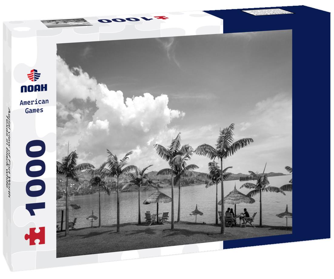 Noah Jigsaw Puzzle Aerial view of Fort Worth, Texas in black white 1000 pieces