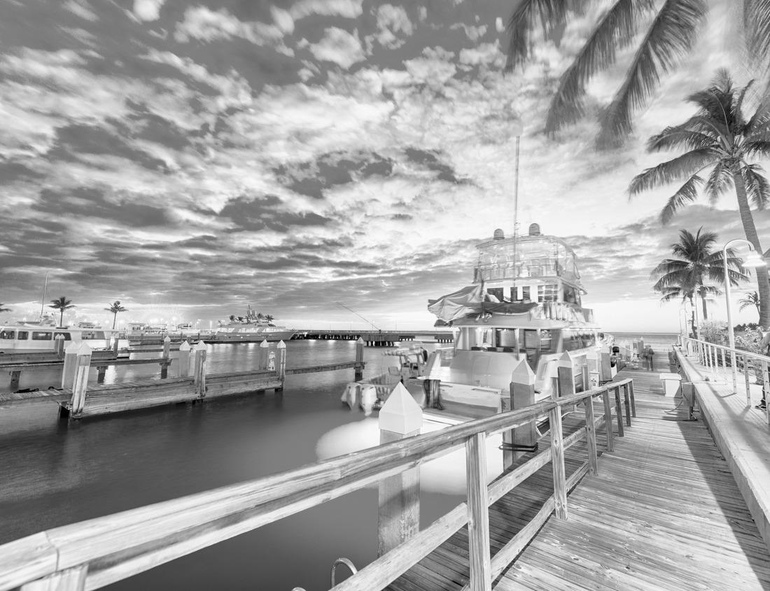 Noah Jigsaw Puzzle Frog near Mammoth Cave National Park in black white 1000 pieces