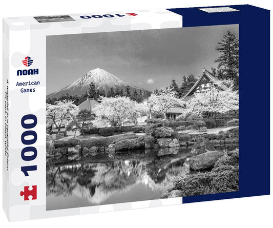 Noah Jigsaw Puzzle A waterfall in a beautiful Frisco, TX park in black white 1000 pieces