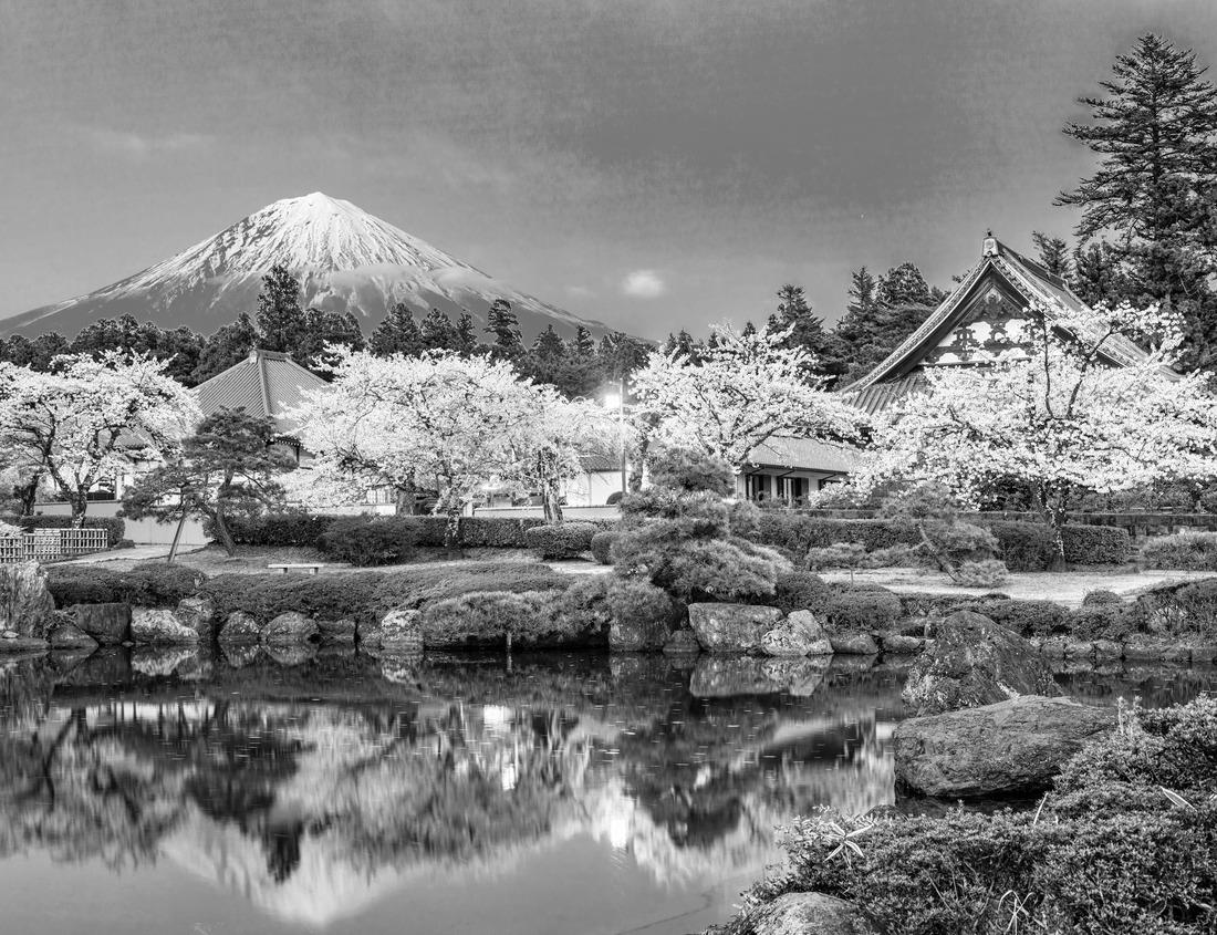 Noah Jigsaw Puzzle A waterfall in a beautiful Frisco, TX park in black white 1000 pieces