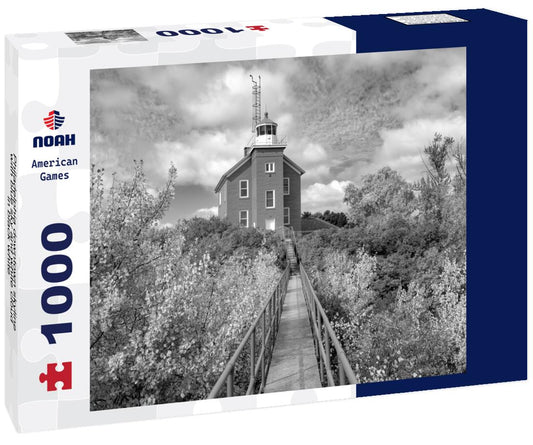 Noah Jigsaw Puzzle Philadelphia downtown skyline with blue sky and white cloud in black white 1000 pieces