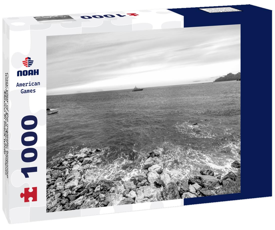 Noah Jigsaw Puzzle Cozy view of the majestic turquoise waterfalls of Agua Azul in Chiapas, Mexico in black white 1000 pieces