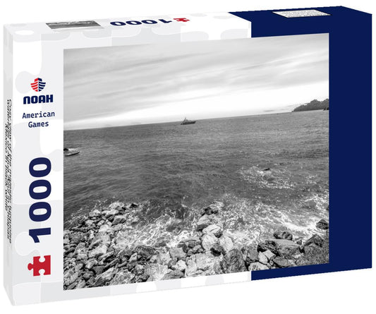 Noah Jigsaw Puzzle Cozy view of the majestic turquoise waterfalls of Agua Azul in Chiapas, Mexico in black white 1000 pieces