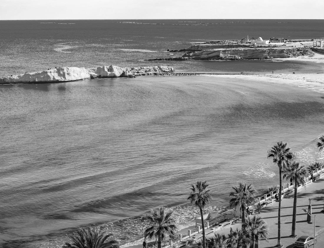 Noah Jigsaw Puzzle Nashville Tennessee TN Drone Skyline Aerial Panorama in black white 1000 pieces