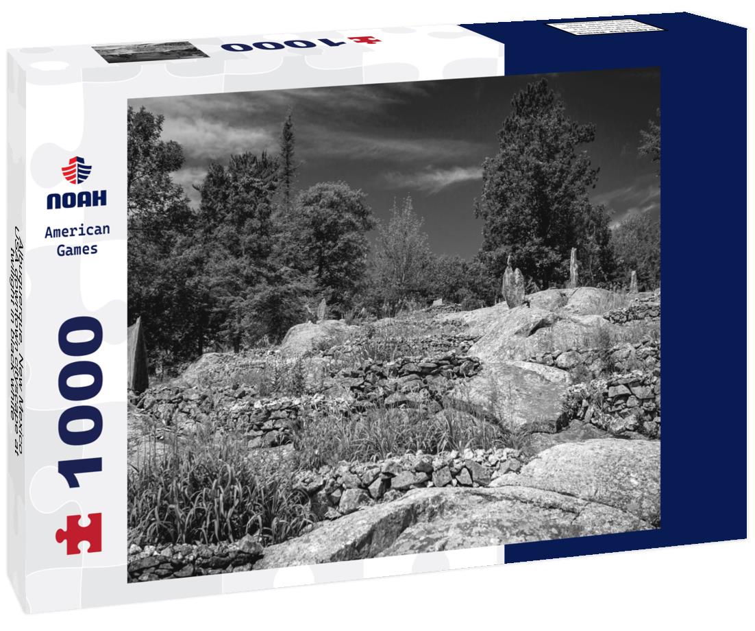 Noah Jigsaw Puzzle Albuquerque, New Mexico, USA downtown cityscape at twilight in black white 1000 pieces