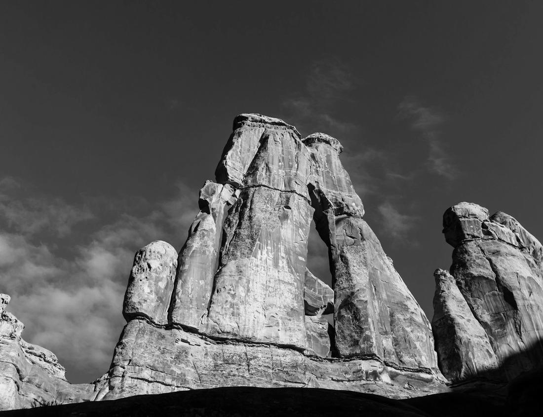 Noah Jigsaw Puzzle A vibrant view of the Edmonton skyline in black white 1000 pieces