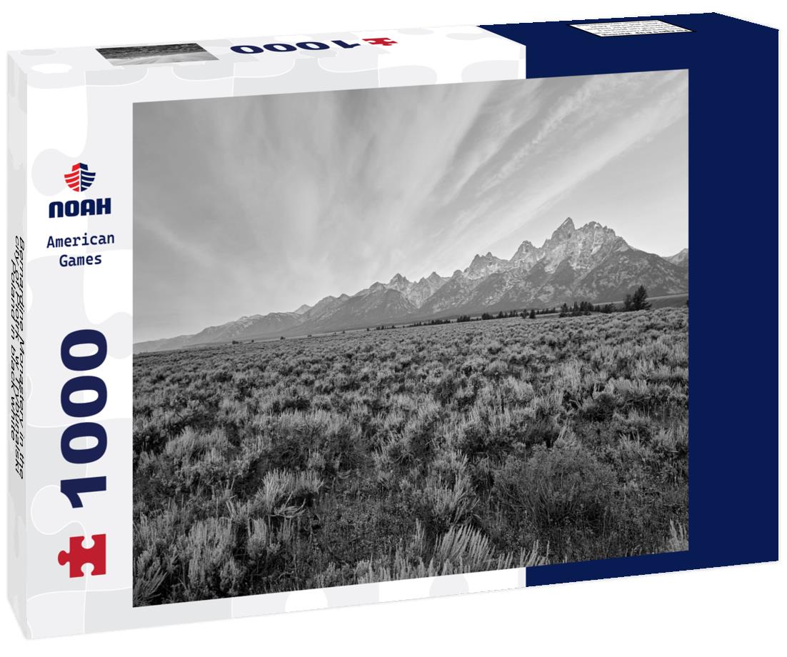 Noah Jigsaw Puzzle Bernardine Monastery in the city of Piotrków Trybunalski, Poland in black white 1000 pieces