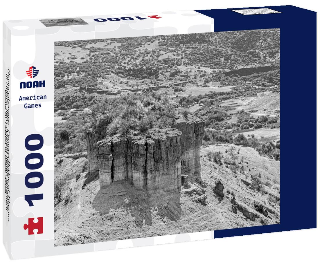 Noah Jigsaw Puzzle Rimini cityscape. Famous Bridge of Tiberius in Rimini, Italy. Ancient Italian landmark Ponte di Tiberio in black white 1000 pieces