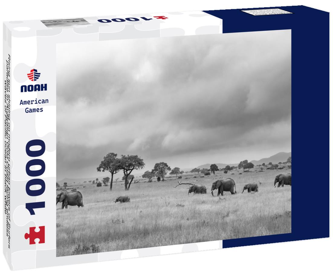 Noah Jigsaw Puzzle Rising sun shining on modern urban towers of Surfers paradise in Australian Gold Coast facing endless waves of Pacific ocean in black white 1000 pieces