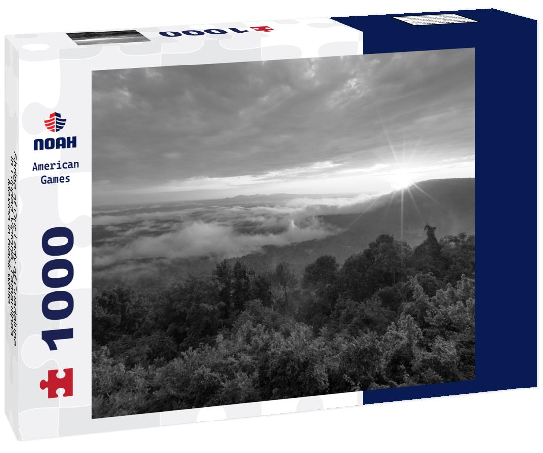 Noah Jigsaw Puzzle Shrine of Our Lady of Guadalupe, in Ciudad Victoria, Tamaulipas, Mexico in black white 1000 pieces