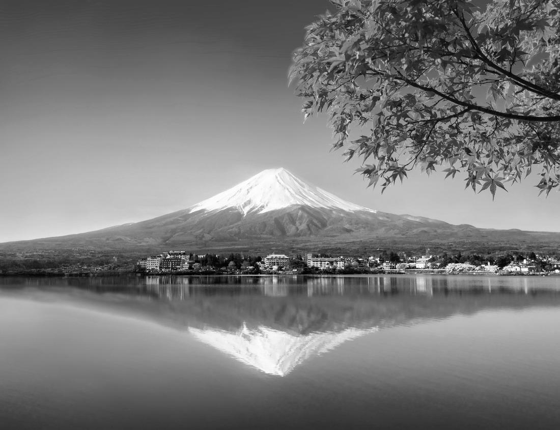 Noah Jigsaw Puzzle Castiglione Faletto, village in Barolo wine region, Langhe, Piedmont, Italy in black white 1000 pieces