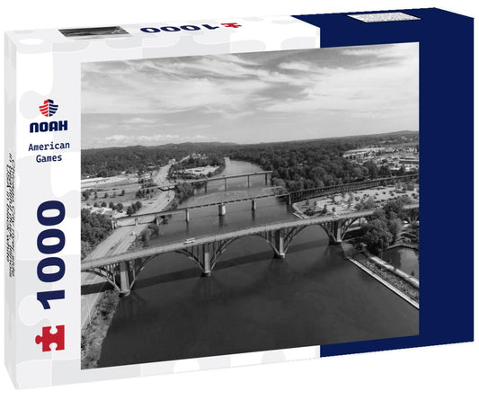 Noah Jigsaw Puzzle Chicago City river side in beautiful dusk, Illinois, USA in black white 1000 pieces