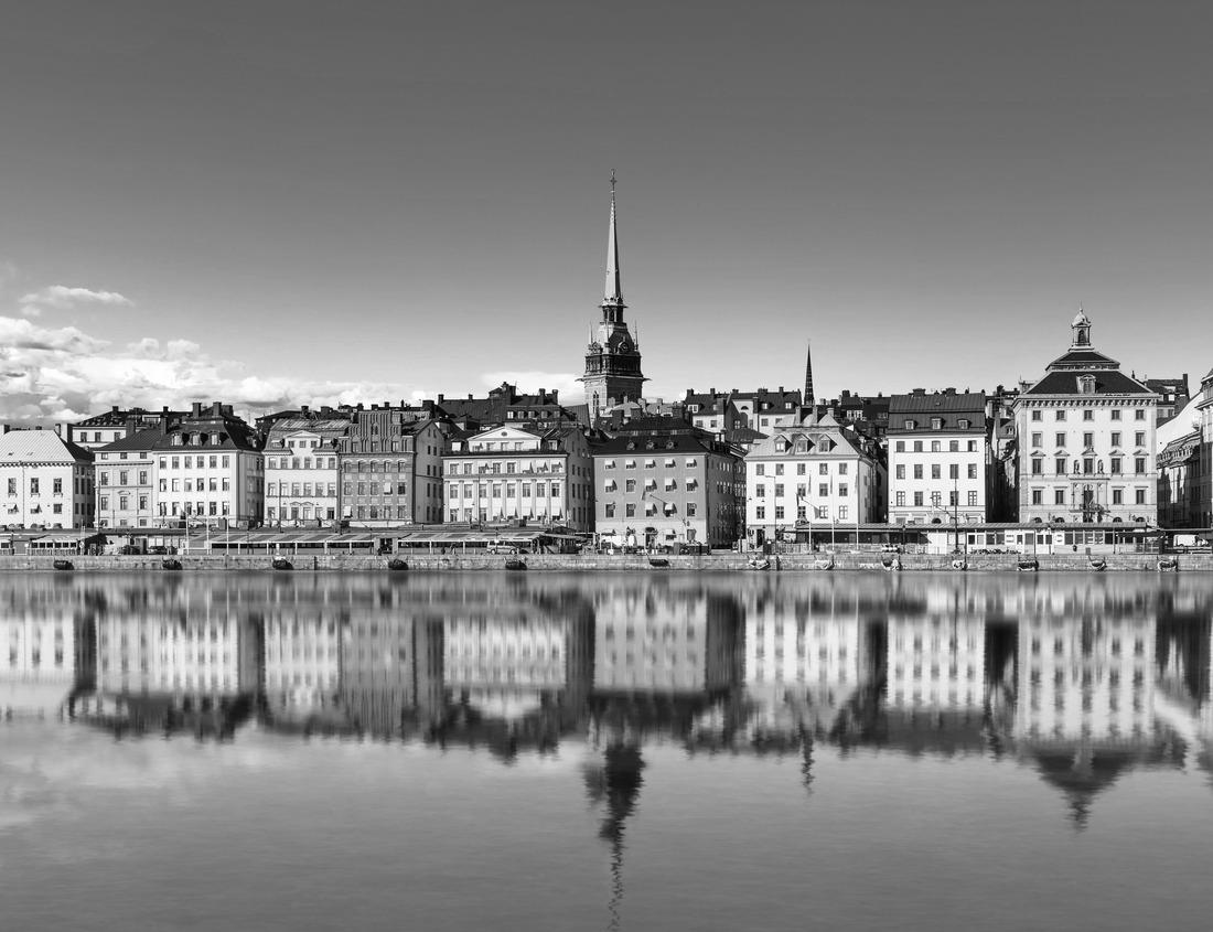 Noah Jigsaw Puzzle Meiji Shrine in Tokyo, Japan in black white 1000 pieces