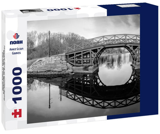 Noah Jigsaw Puzzle Hopewill Rock at sunrise during high tide, New Brunswick, Canada in black white 1000 pieces