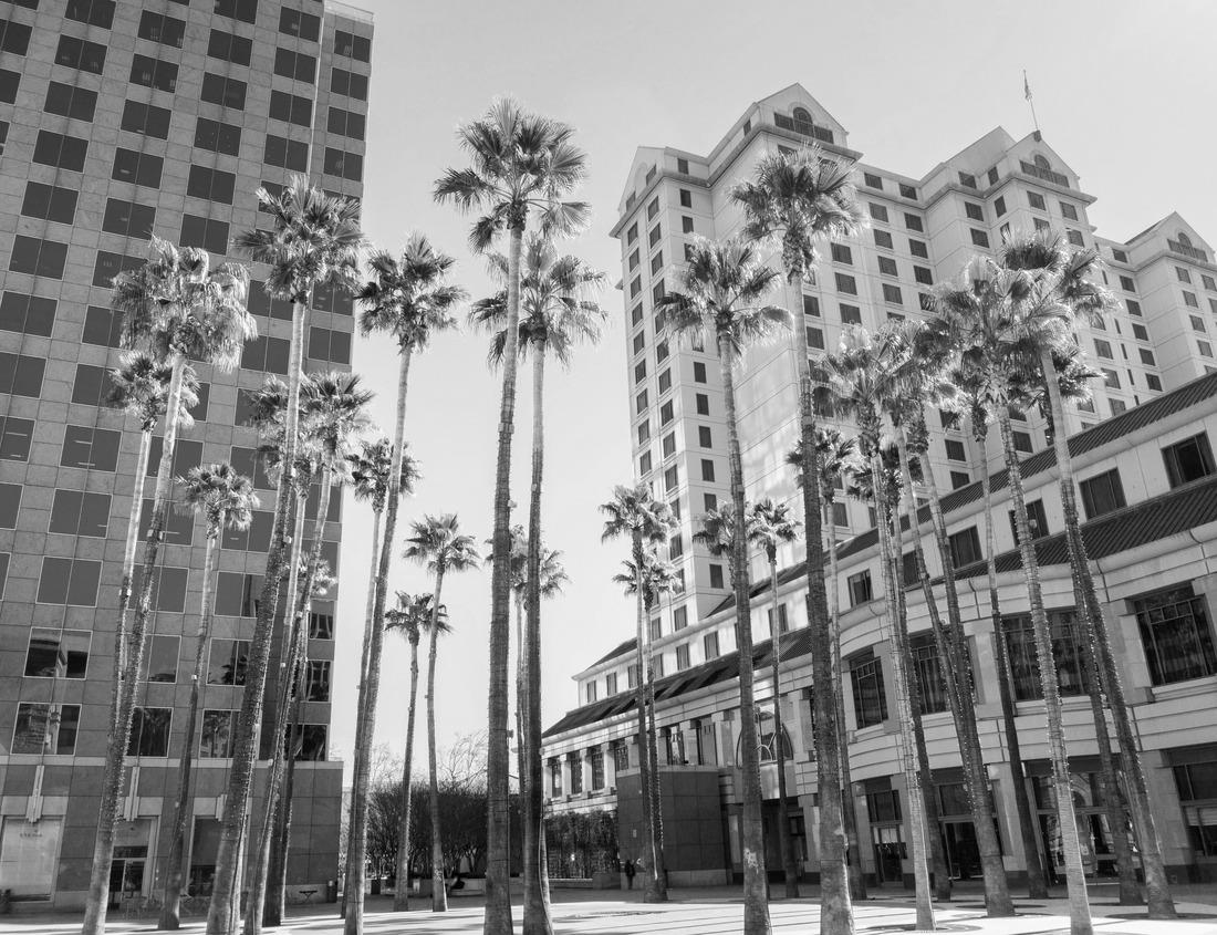 Noah Jigsaw Puzzle Malaga, Spain old town skyline at dusk in black white 1000 pieces