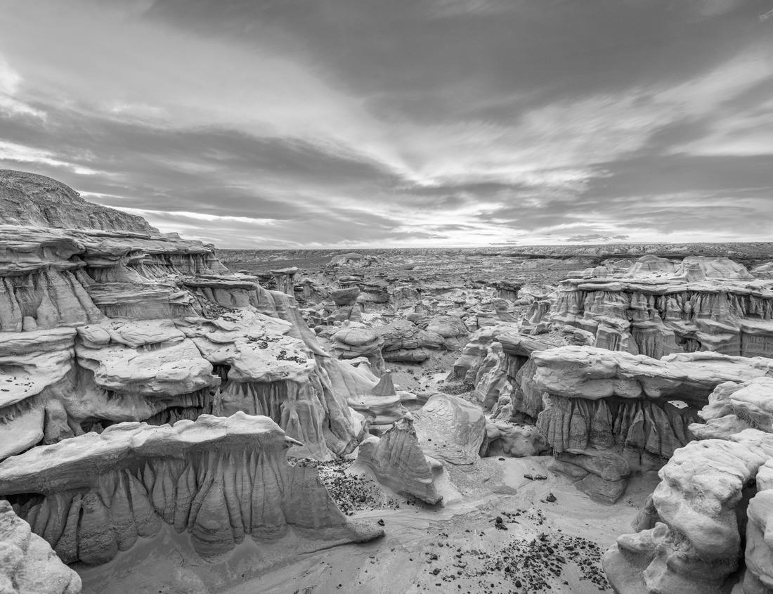 Noah Jigsaw Puzzle Fontainebleau State Park is a beautiful park in Louisiana in black white 1000 pieces
