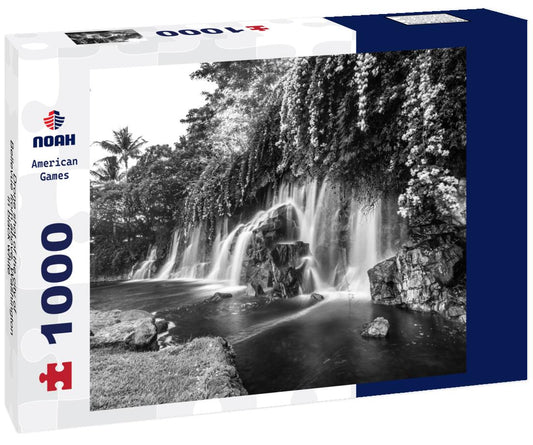 Noah Jigsaw Puzzle Drone shot of the city of Bellevue from above, Washington in black white 1000 pieces