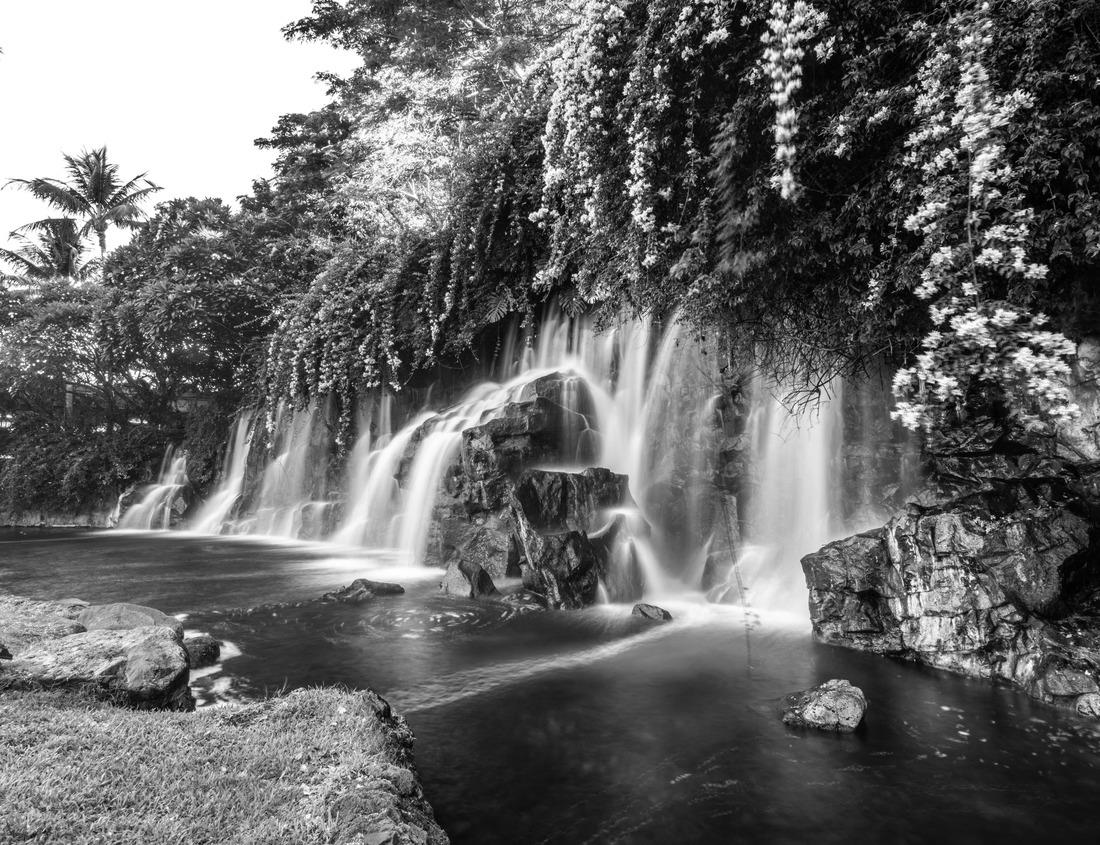 Noah Jigsaw Puzzle Drone shot of the city of Bellevue from above, Washington in black white 1000 pieces