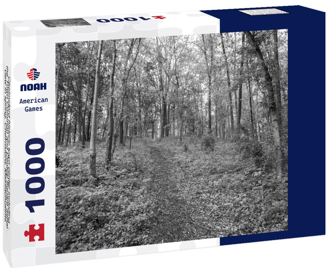 Noah Jigsaw Puzzle Chelmsford historic town center including the Town Common and Central Square aerial view in spring, Chelmsford, Massachusetts, MA in black white 1000 pieces