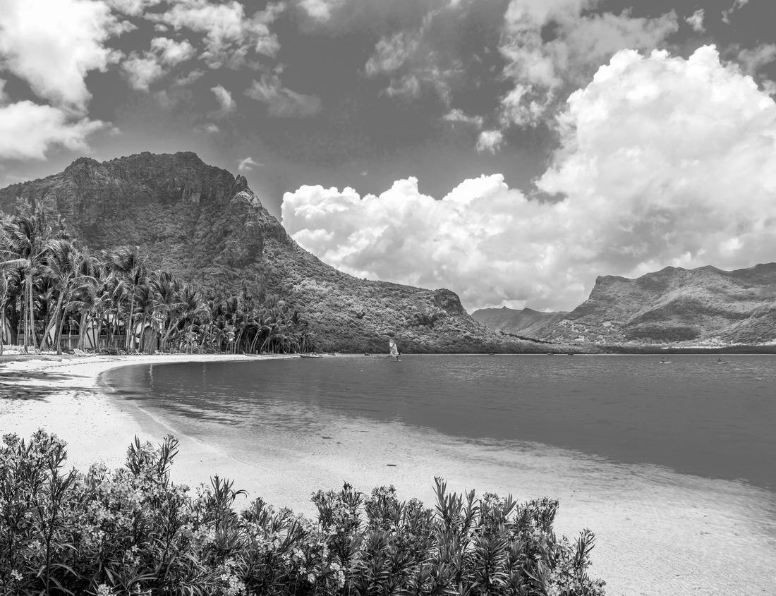 Noah Jigsaw Puzzle Close-up. The entrance of Castello of Brescia, Lombardy region in Italy. Roman castle. White marble in black white 1000 pieces