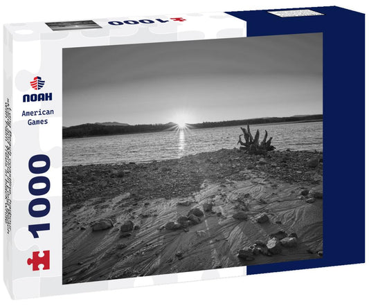 Noah Jigsaw Puzzle Long Beach coastline, harbour, skyline and Marina in Long Beach with Palm Trees in black white 1000 pieces
