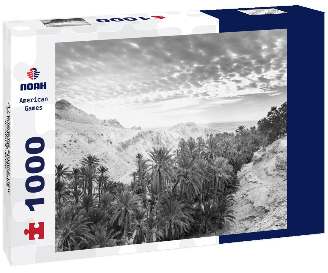 Noah Jigsaw Puzzle A Panorama Skyline view of Winnipeg, Manitoba in black white 1000 pieces