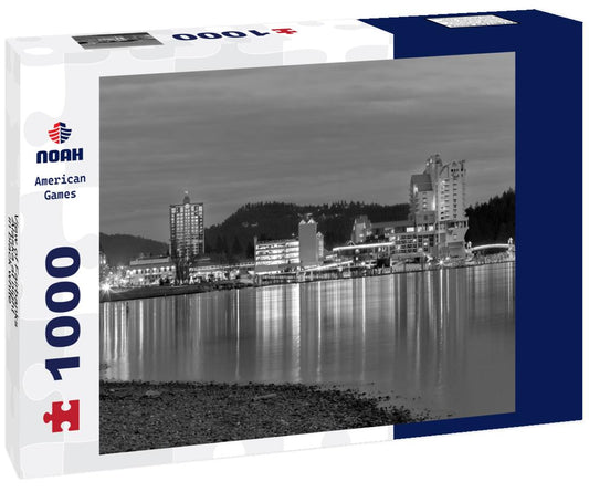 Noah Jigsaw Puzzle View of Fairbanks, Alaska at night in black white 1000 pieces