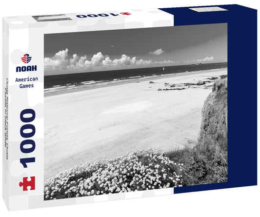 Noah Jigsaw Puzzle Ocala National Forest, Ocala, Florida in black white 1000 pieces