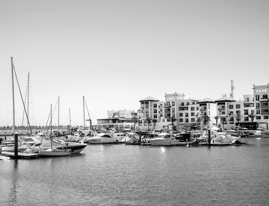 Noah Jigsaw Puzzle Aerial view of Paterson, NJ and its city hall. Paterson is the county seat of Passaic County and the third most populous city in NJ with the second largest Muslim population in the US in black white 1000 pieces