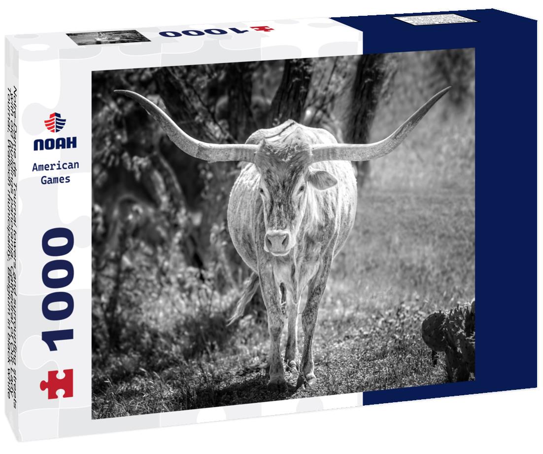 Noah Jigsaw Puzzle Notre-Dame de Tournai towers and surrounfing streets with old buildings panorama, Cathedral of Our Lady, Tournai, Walloon municipality, Belgium in black white 1000 pieces