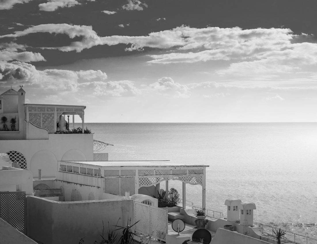 Noah Jigsaw Puzzle Akron, Ohio, USA downtown skyline at dusk in black white 1000 pieces