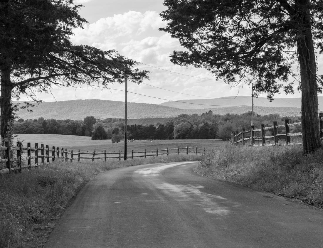 Noah Jigsaw Puzzle Cathedral of Morelia is a Baroque-style, Roman Catholic cathedral located in the center of the city of Morelia, Michoacán, Mexico in black white 1000 pieces