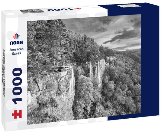 Noah Jigsaw Puzzle Evening view of Downtown San Bernardino, California in black white 1000 pieces