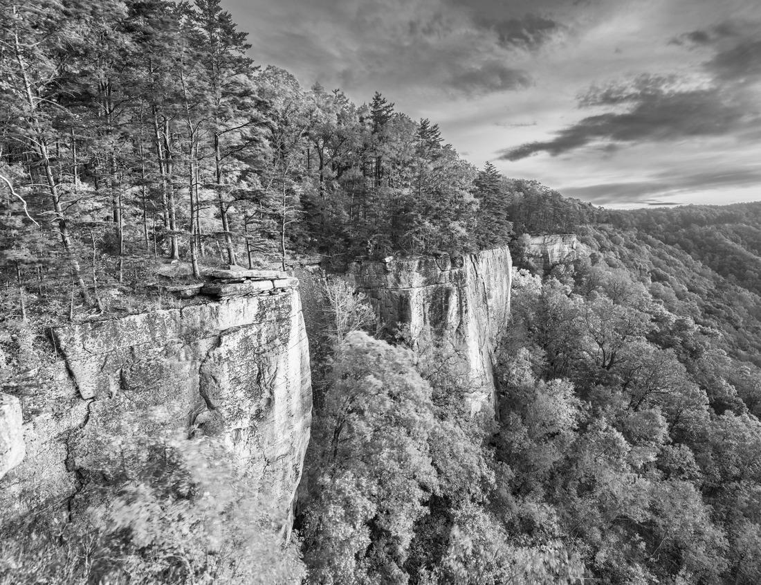 Noah Jigsaw Puzzle Evening view of Downtown San Bernardino, California in black white 1000 pieces