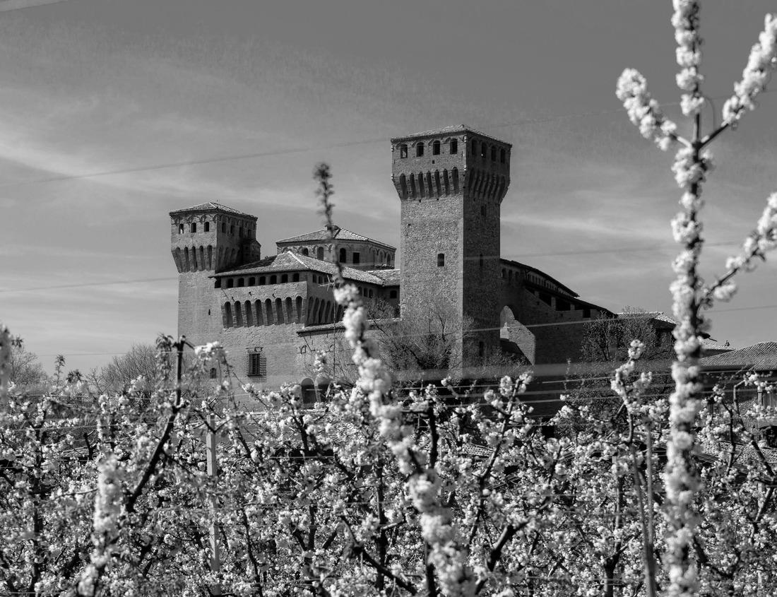 Medieval fortress of Vignola Castle in the cherry town of Vignola, Modena, Italy. 1000pc PuzzleBlack and White