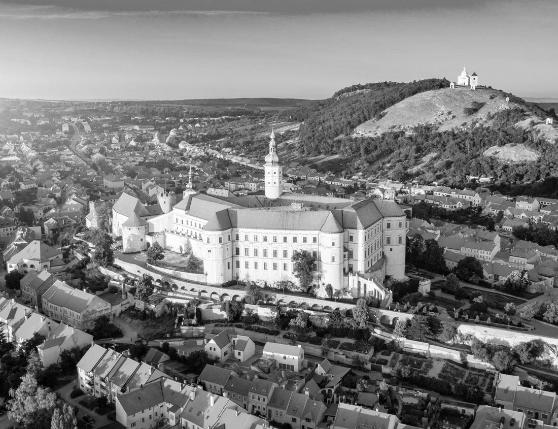 Noah Jigsaw Puzzle Downtown city skyline of Salt Lake City, Utah, the Wasatch mountains in the background in autumn in black white 1000 pieces